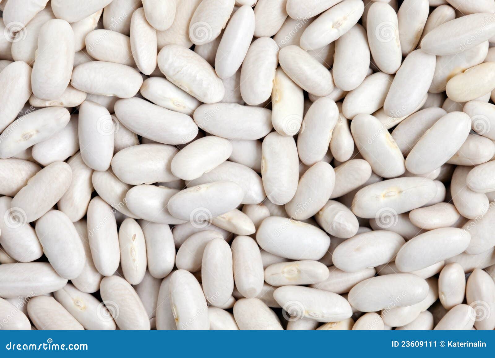 Great Northern Beans stock image. Image of group, texture 23609111