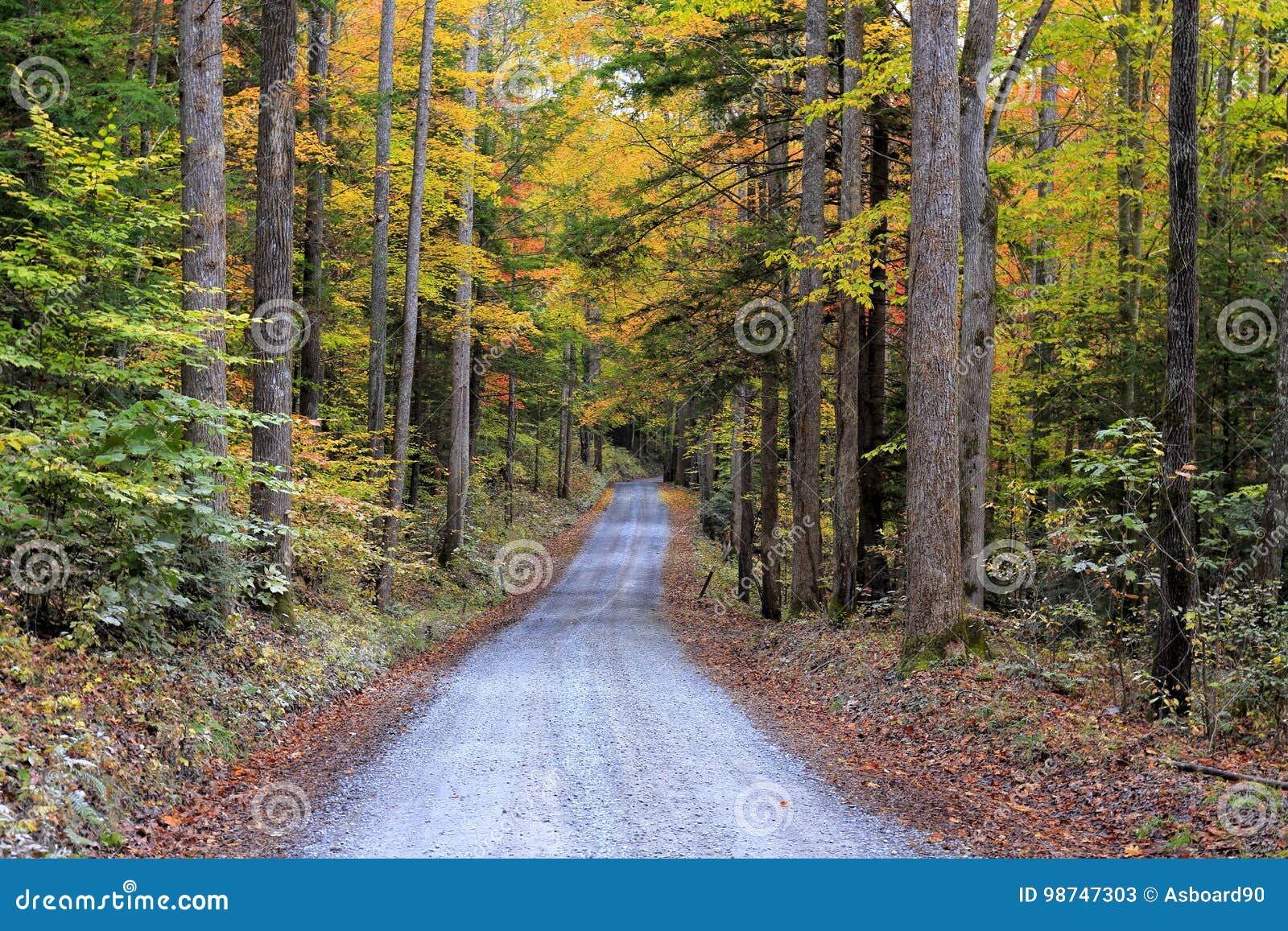 great smoky mountains national park, north carolina