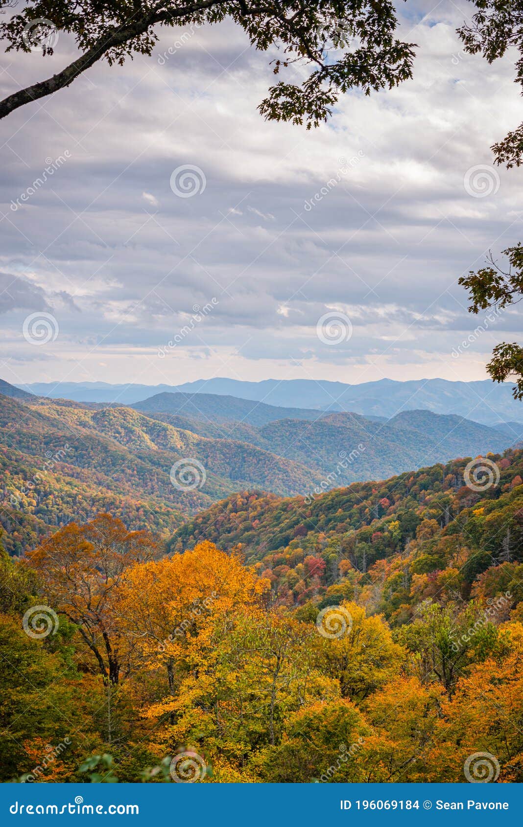great smoky mountains national park, tennessee, usa at the newfound pass