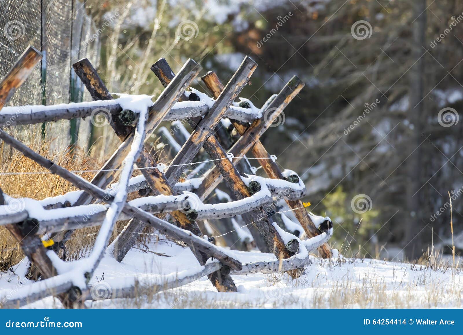 Great State of Montana stock photo. Image of dawning 64254414