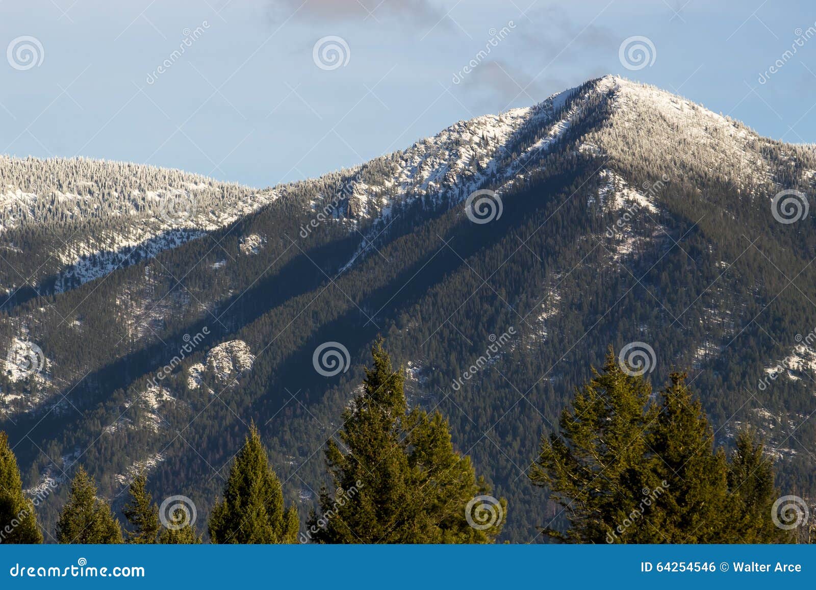 Great State Of Montana Stock Photo Image Of Daylight 64254546