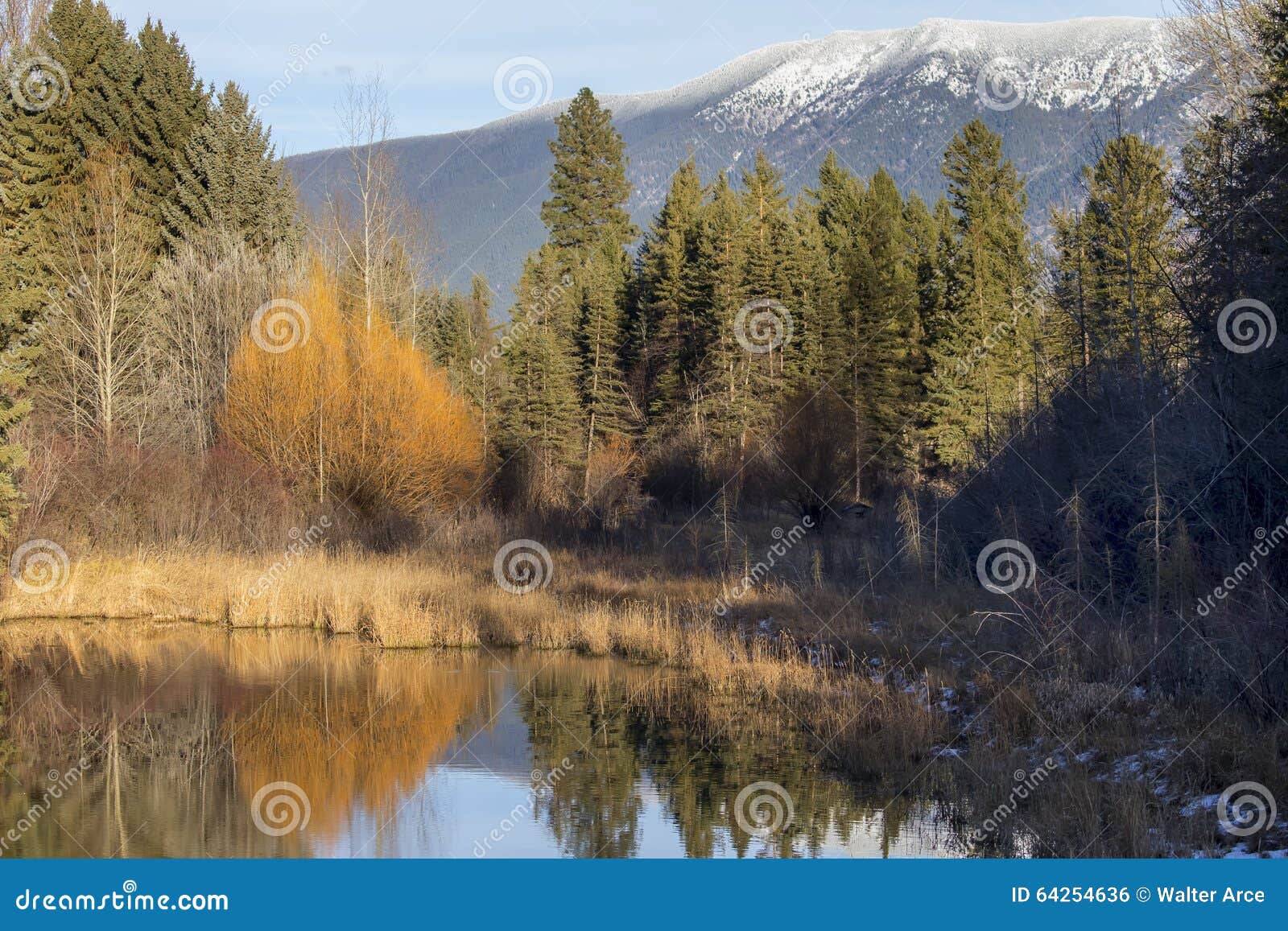 Great State of Montana stock photo. Image of glacier 64254636