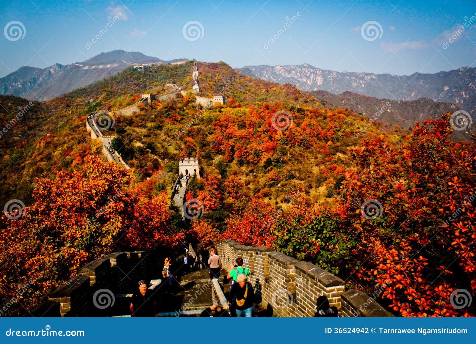 Great Wall Of China Editorial Photography Image Of Great