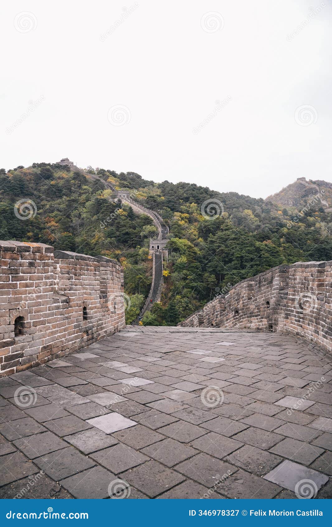 great wall of china, path with brick wall and multiple steps between the watchtowers, surrounded by alpine forest in autumn day