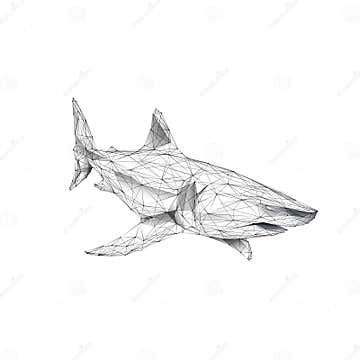 The Great White Shark Isolated on White Background. Stock Vector