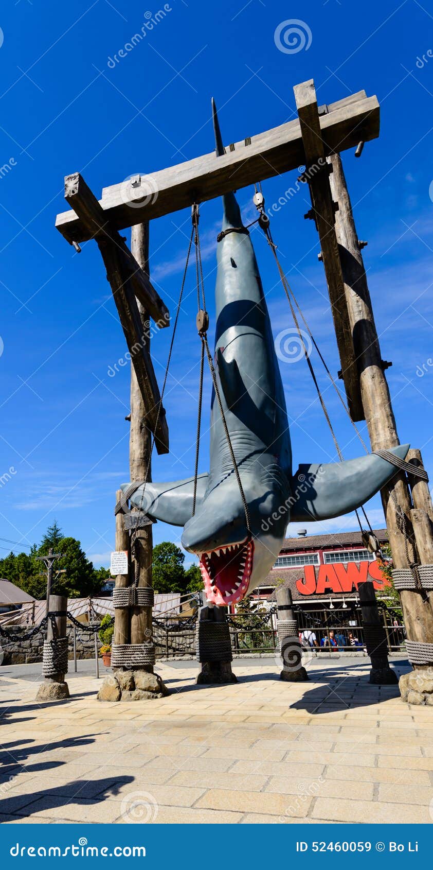 A great white shark editorial stock image. Image of tourism - 52460059