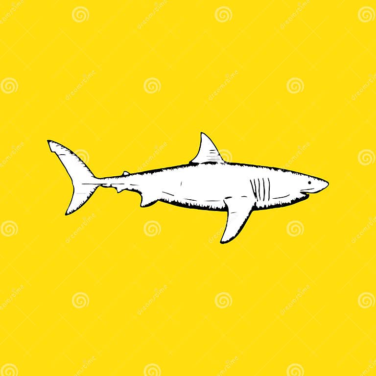Great White Shark, Side View. Hand-drawn Stock Vector - Illustration of