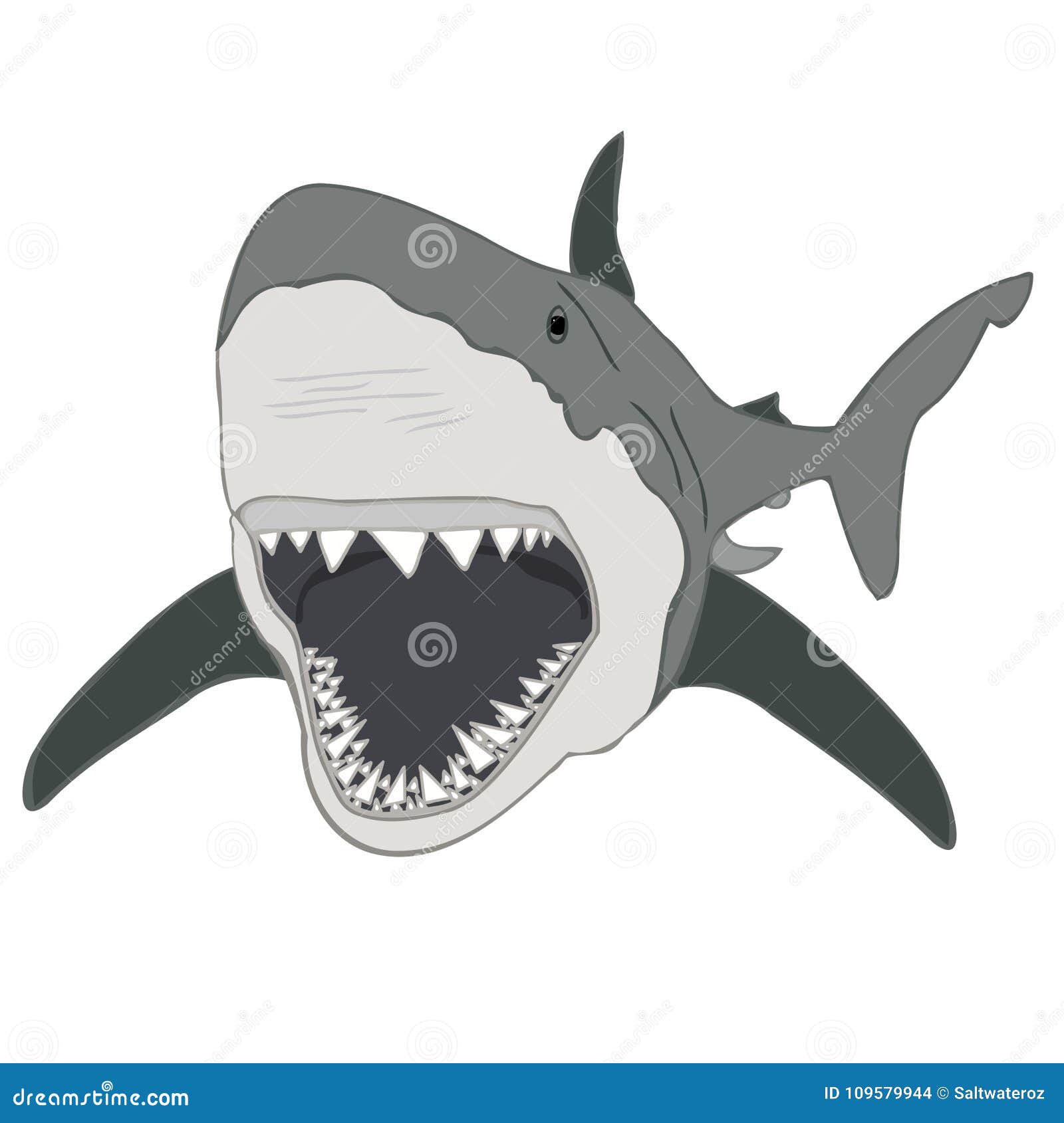 Download Great White Shark Illustration Shark Jaws Stock Photo Illustration Of White Diving 109579944