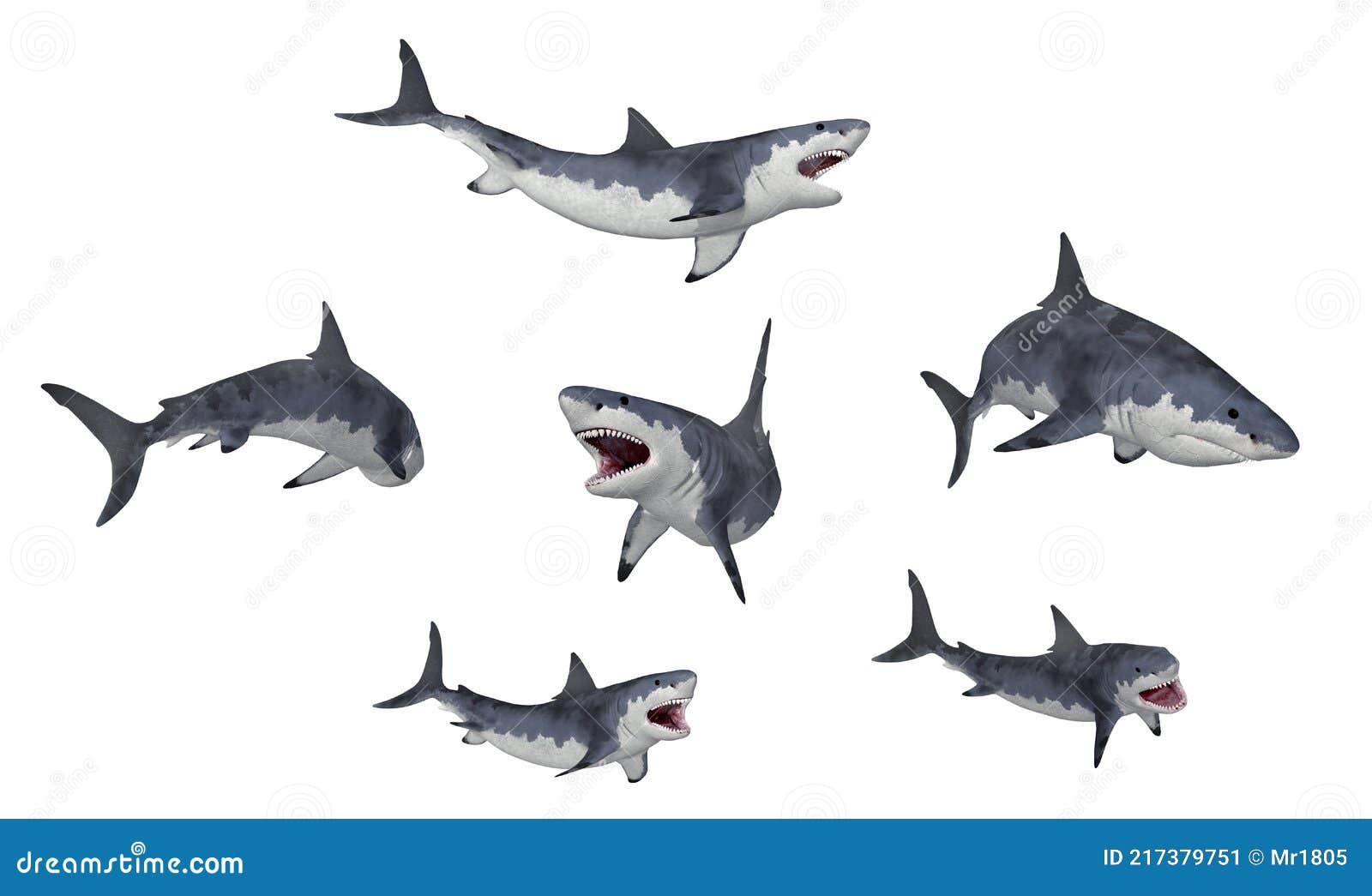 Sharks Set.Great White Shark, Sixgill Sawshark. Basking Sand Tiger