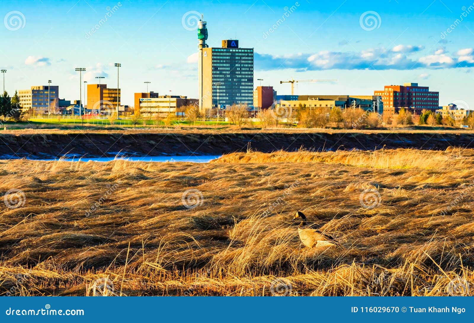 Greater Moncton, New Brunswick, Canada Stock Photo Image of spring