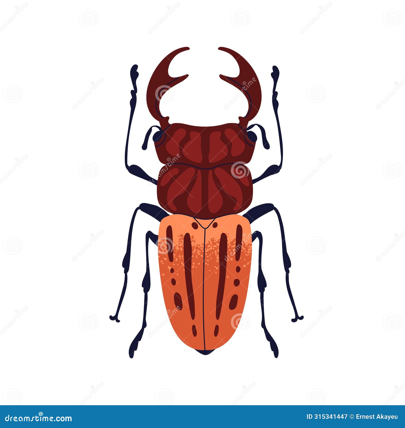greater stag beetle, large insect with mandibles, top view. bug species with big horns. horny fauna. colored flat