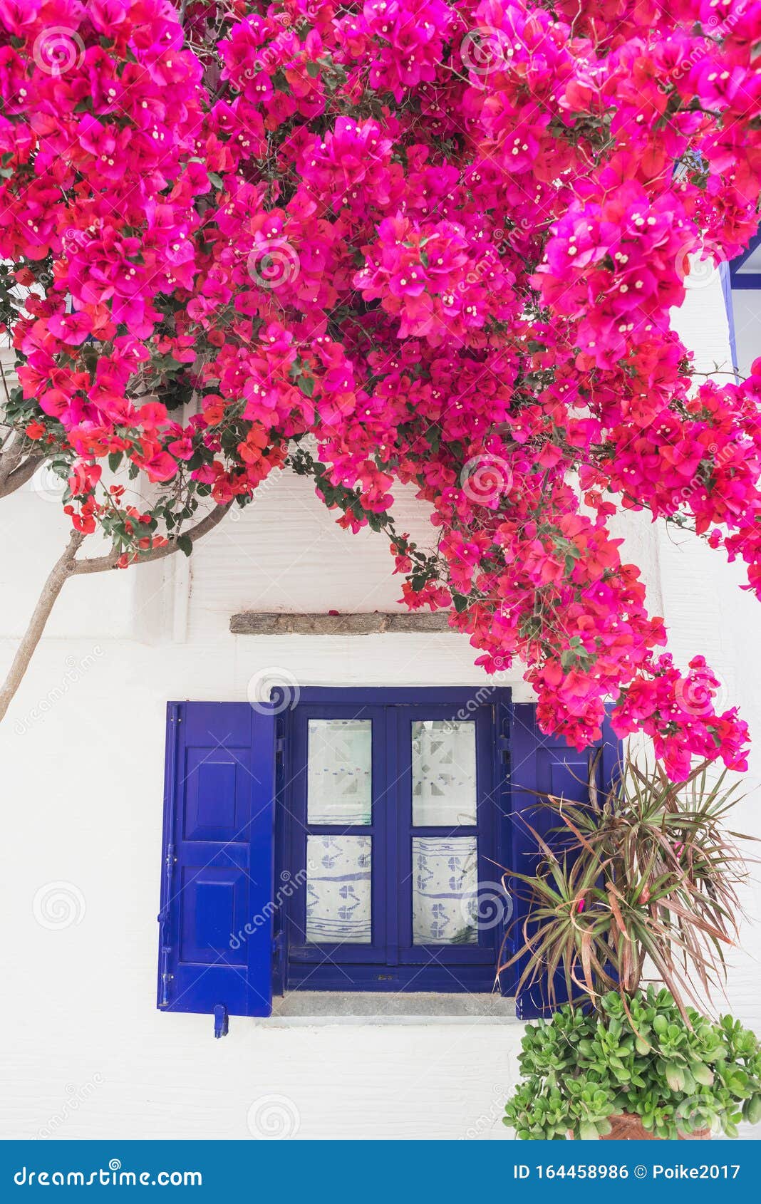 Grecia, Isla De Paros, Cícladas, Hermosa Vista De La Tradicional Casa Griega  Con Flores Foto de archivo - Imagen de fachada, viejo: 164458986