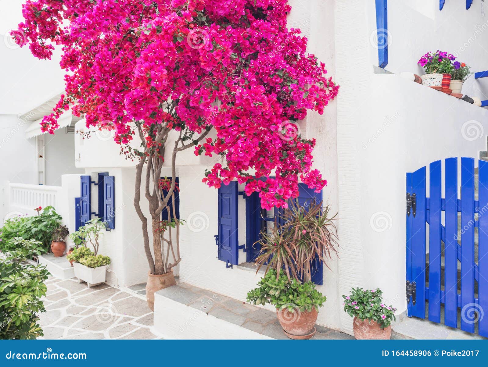 greece, paros island, cyclades, beautiful view of traditional greek house with flowers