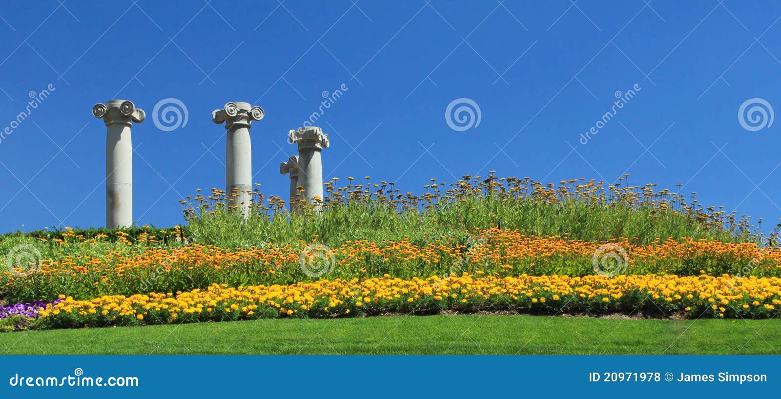 Greek Columns in Garden stock photo. Image of classic 20971978