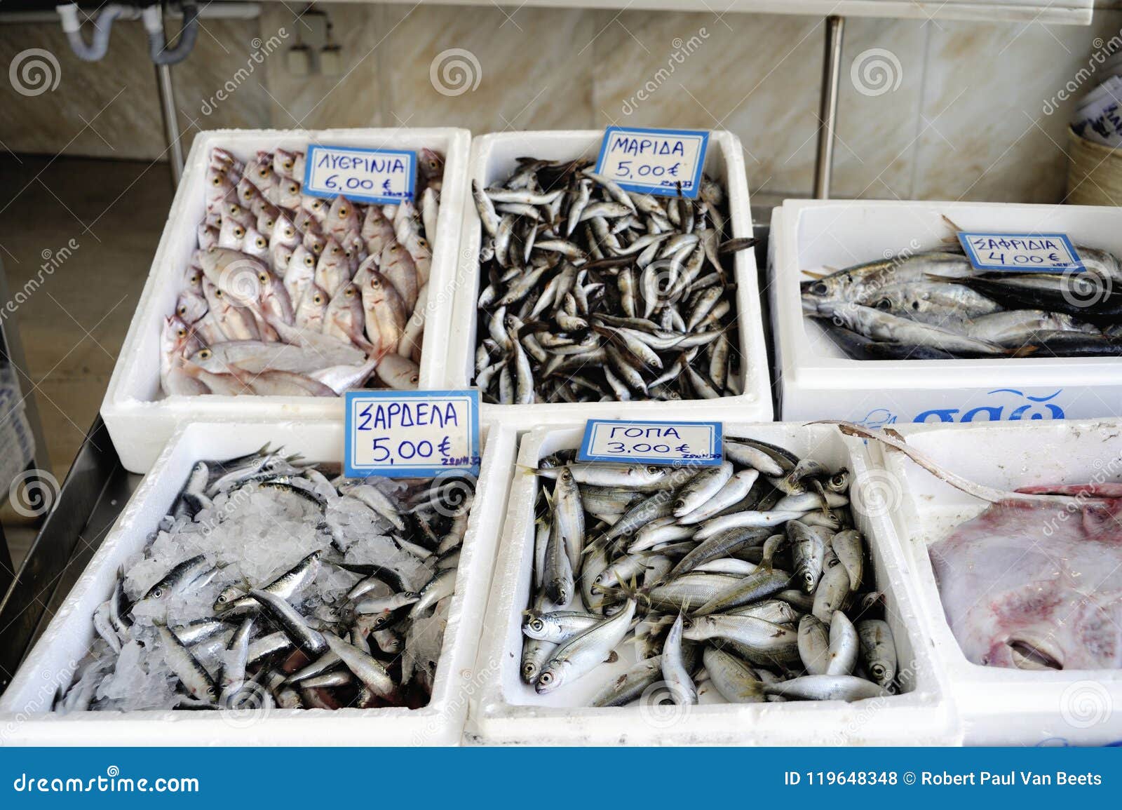 Greek fish market stock photo. Image of selective, dinner 119648348