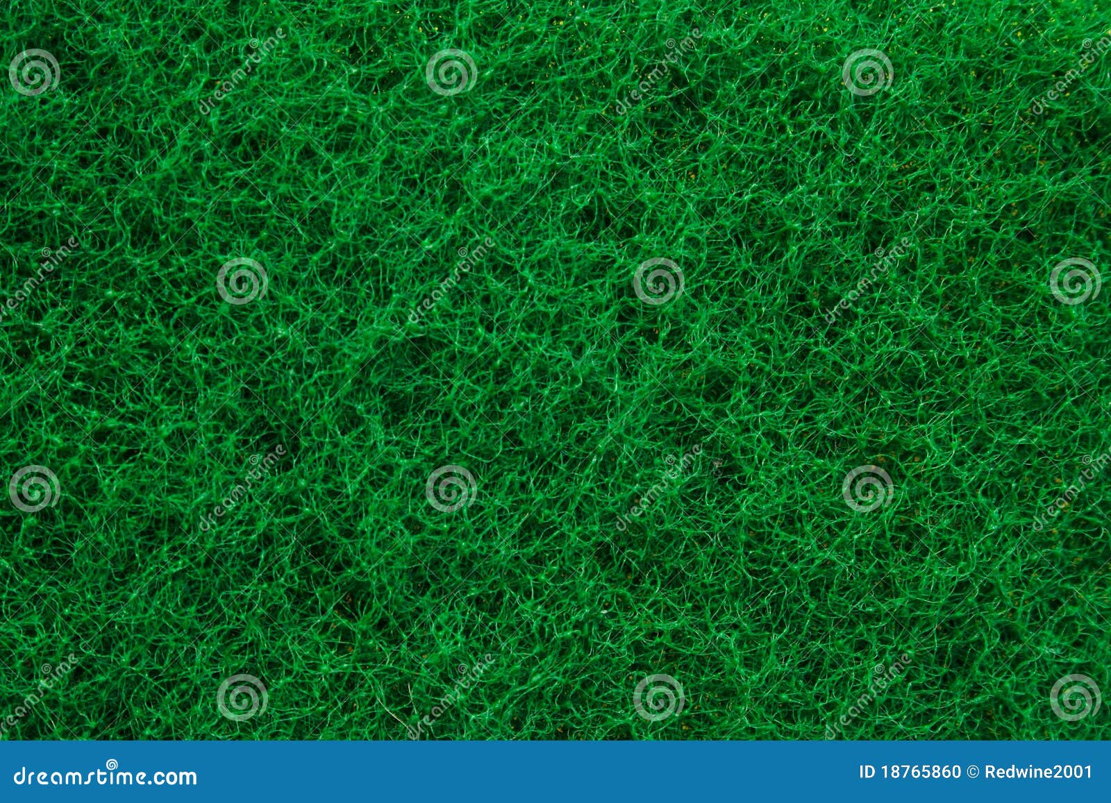 Green Abrasive Sponge Texture Background Stock Photo Image of nature
