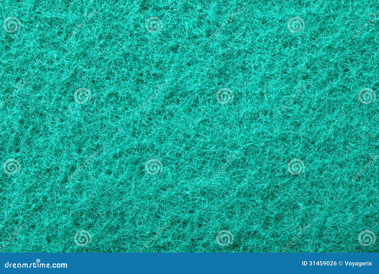 Green Abrasive Sponge Texture Background Stock Photo Image of