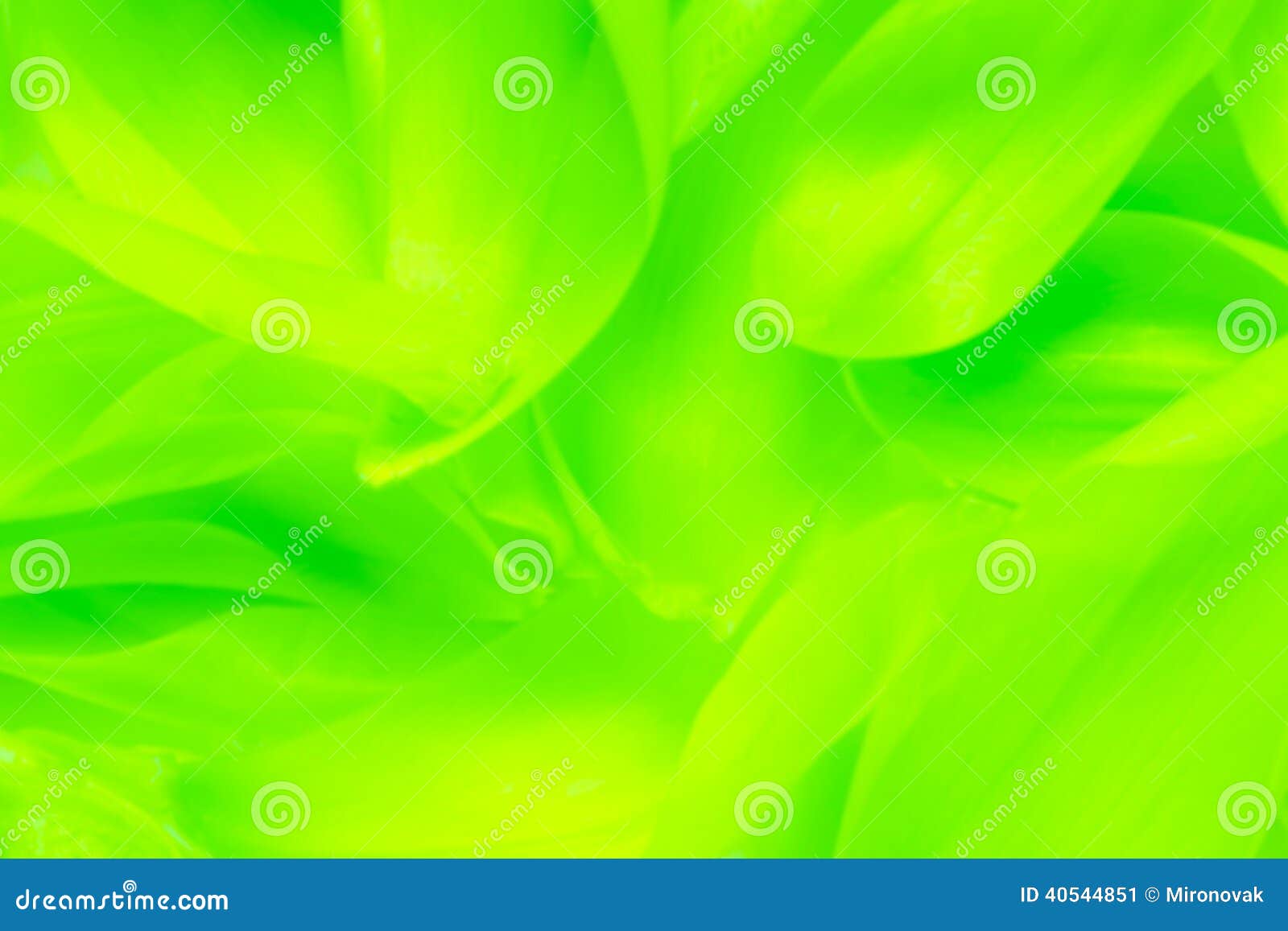 green abstract background