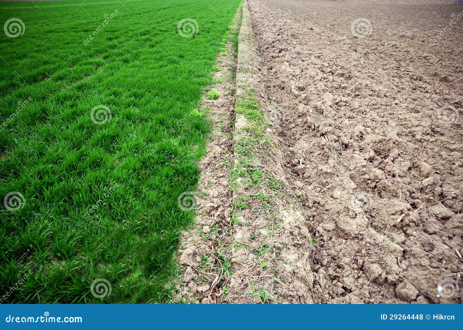 Green Agricultural and Barren Field Stock Photo Image of meadow
