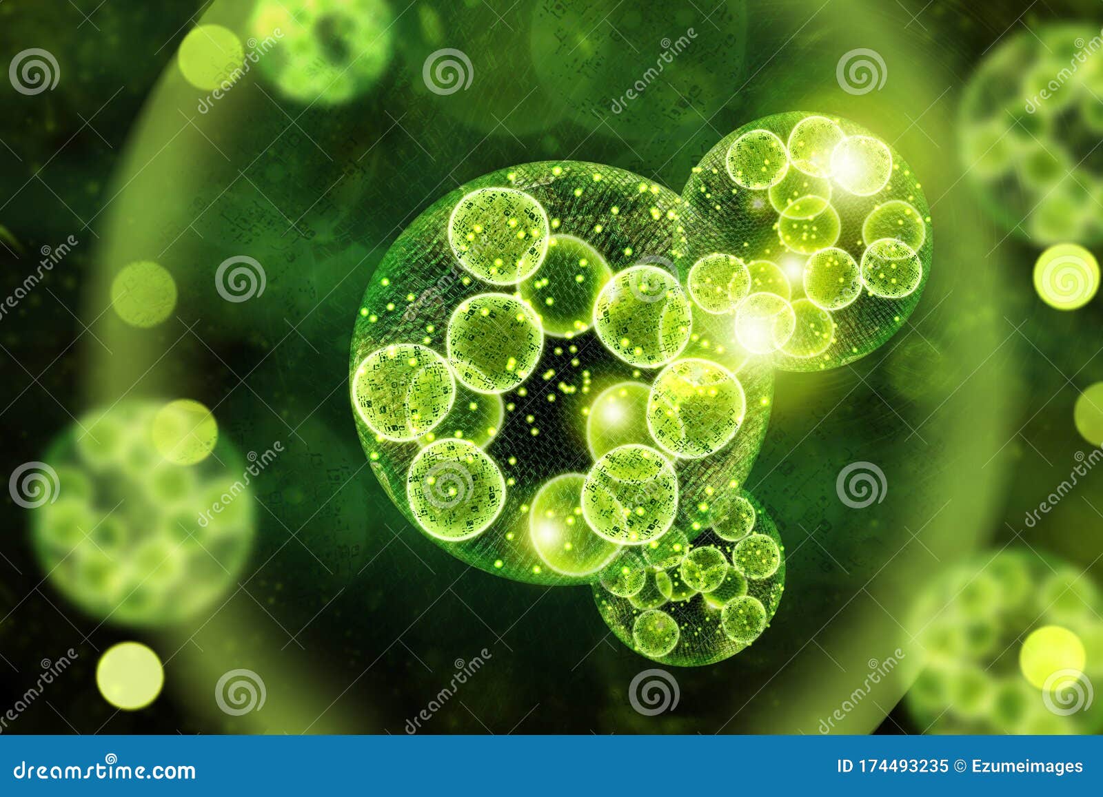 Green Algae Cells 3D Illustration Stock Illustration Illustration of