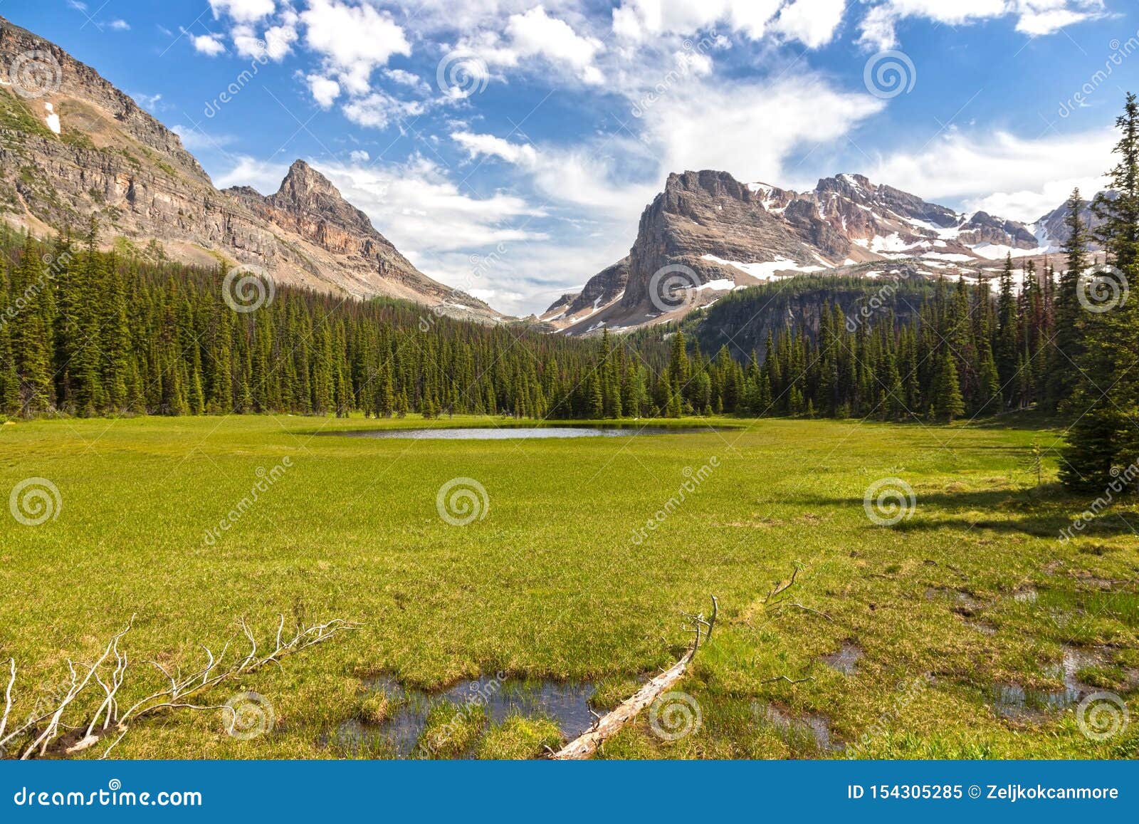 Green Alpine Meadow Distant Snowcapped Mountain Peaks Banff National
