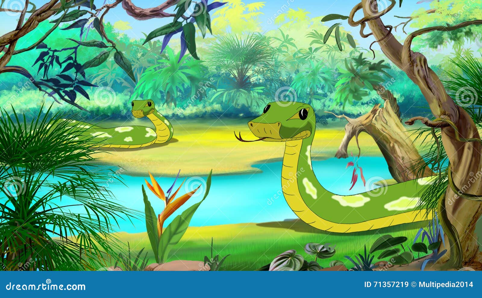 Green Anaconda In The Amazon River Stock Illustration Illustration Of Front Green