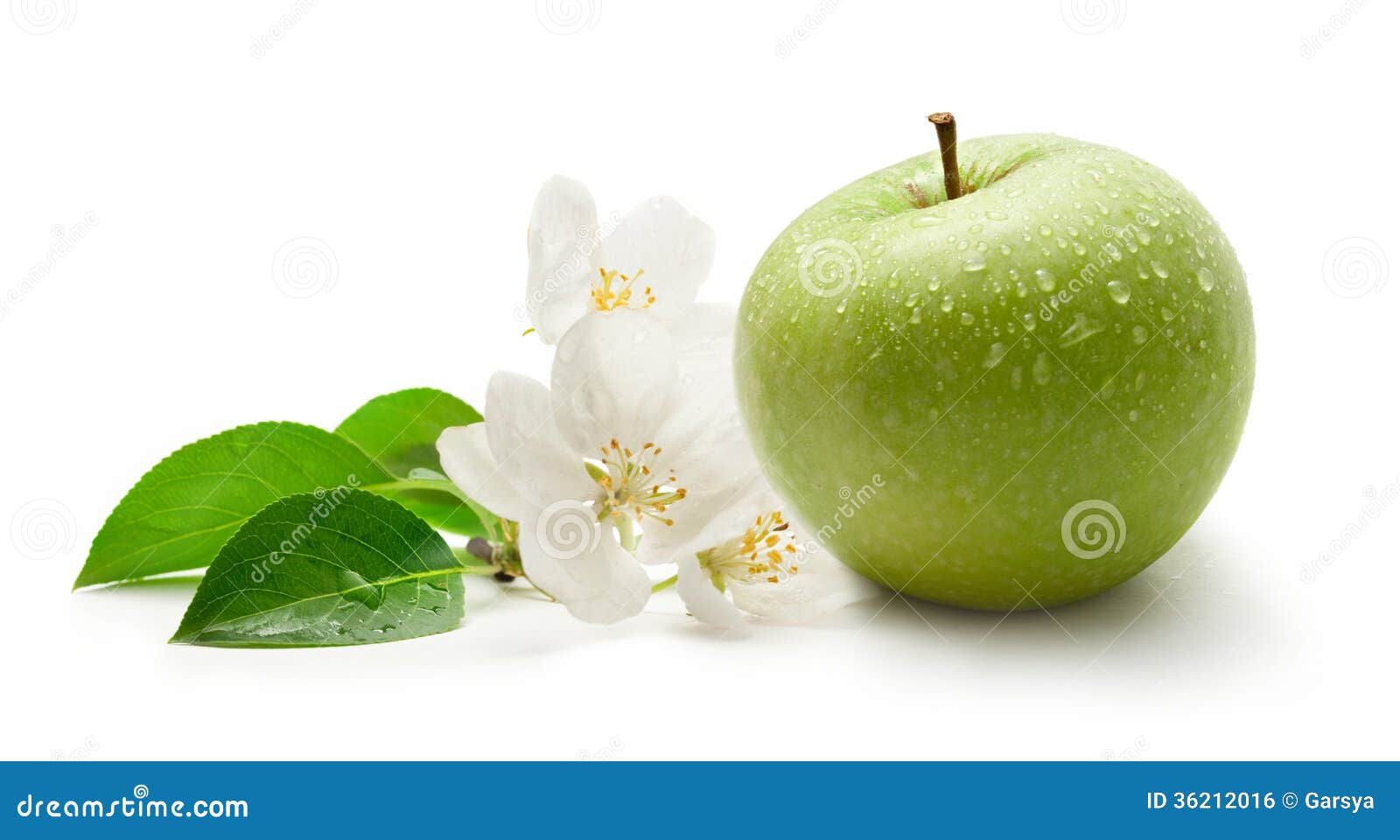 Green apple and flower stock photo. Image of nutrition 36212016