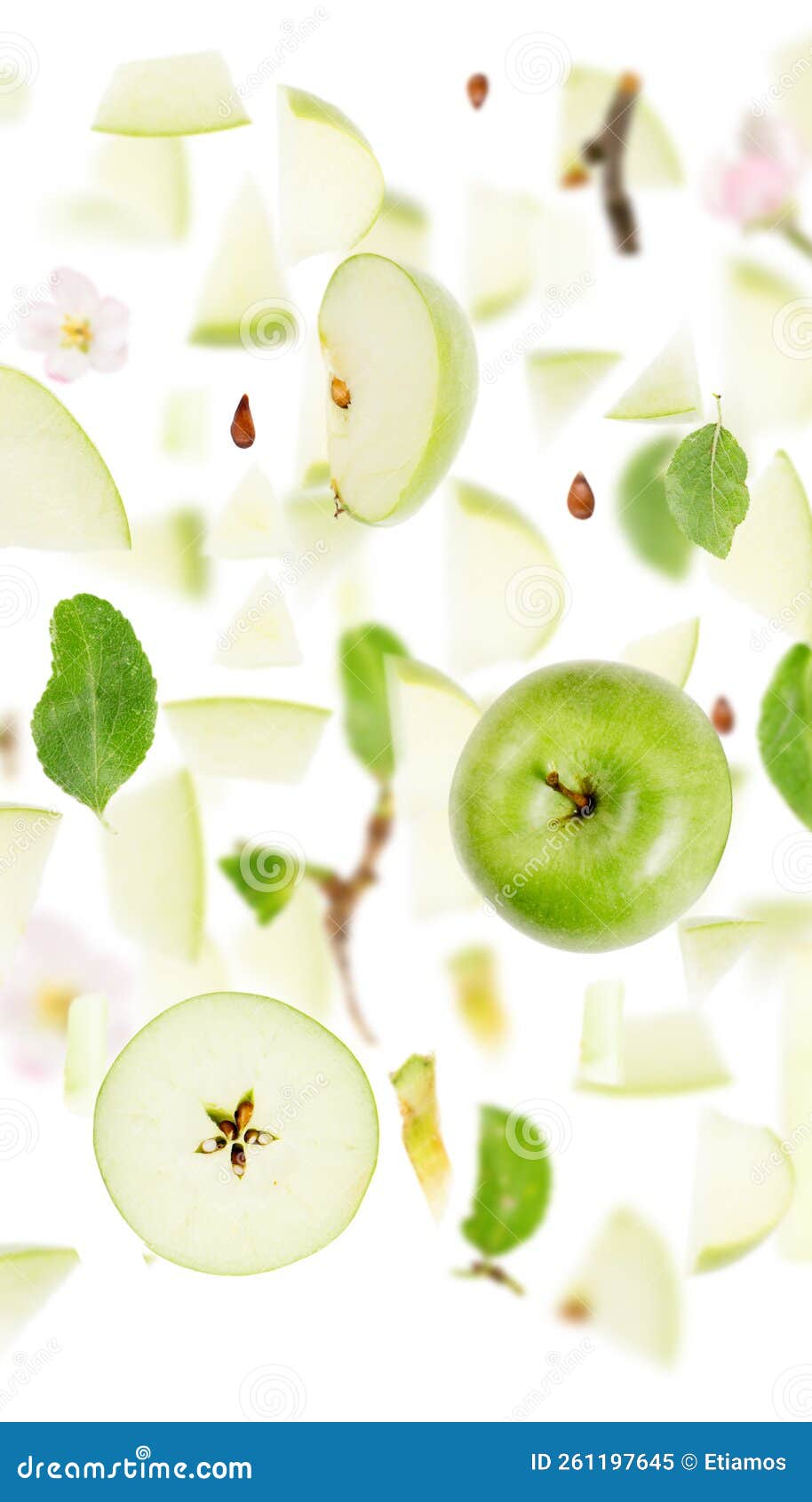 Green Apple Slice and Leaf Collection Stock Image Image of nutrition