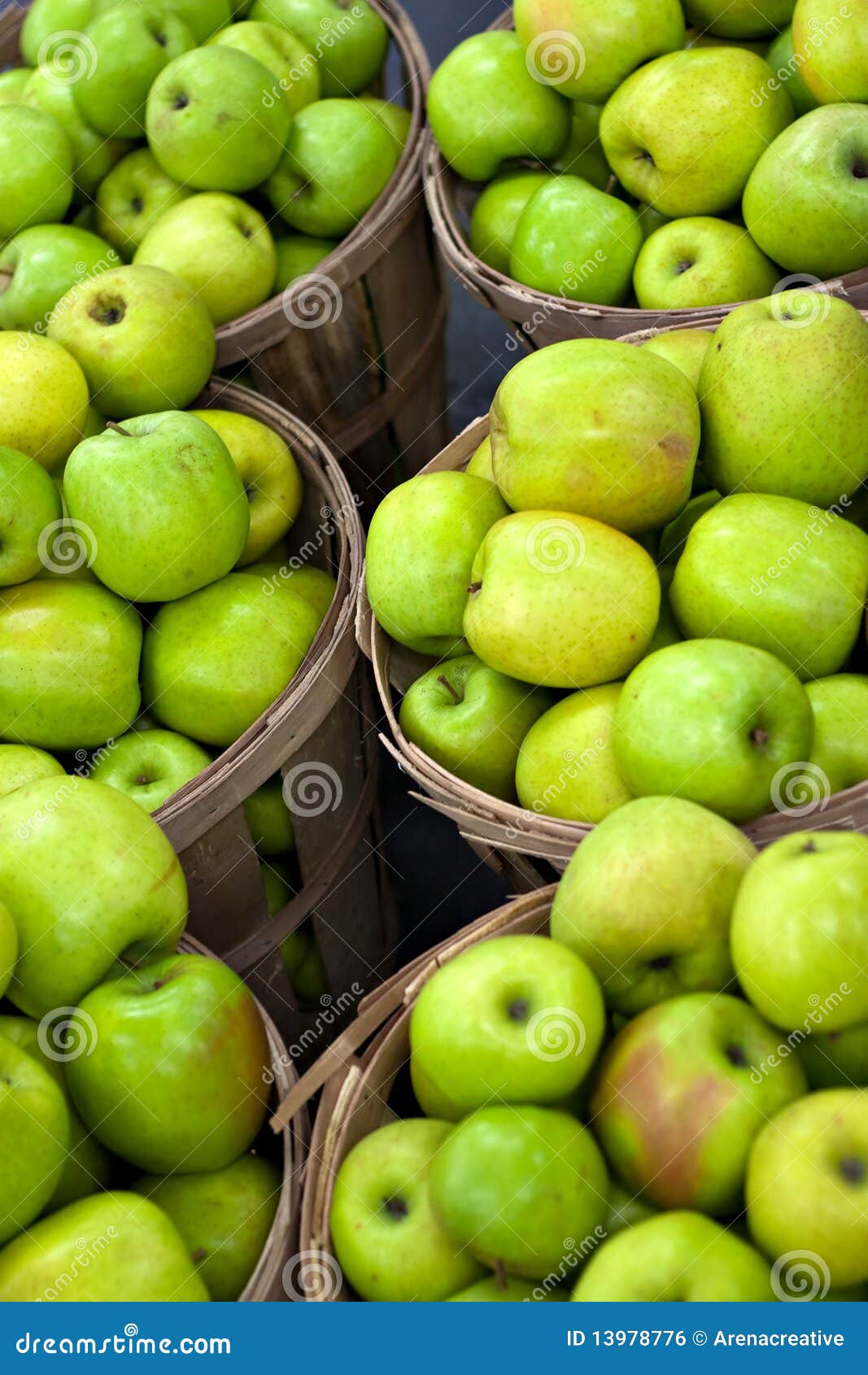 Green Apples in Bushels stock photo. Image of farming - 13978776