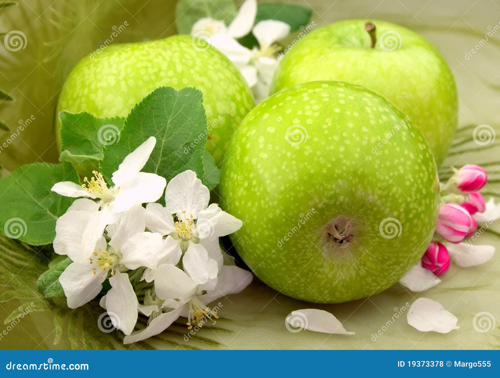 Green apples with flowers stock photo. Image of ripe 19373378