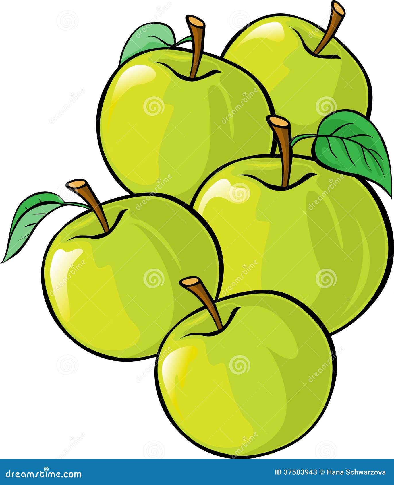 Green Apples Illustration Isolated Stock Vector - Illustration of fiber,  food: 37503943
