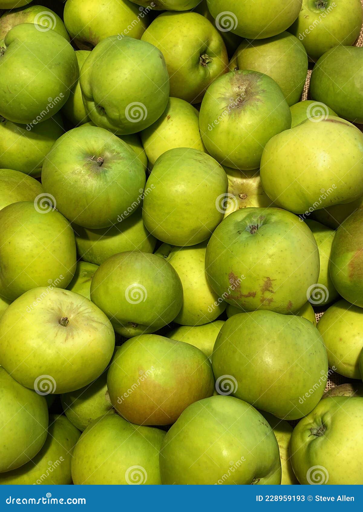 Green Cooking Apples stock image. Image of selection 228959193