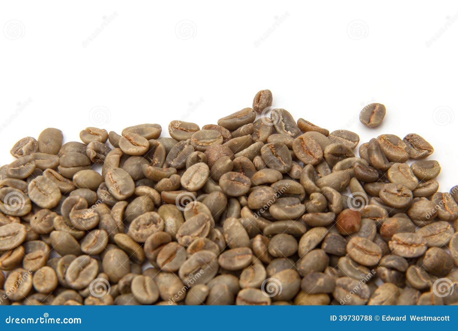 Green Arabica coffee beans stock photo. Image of mound 39730788