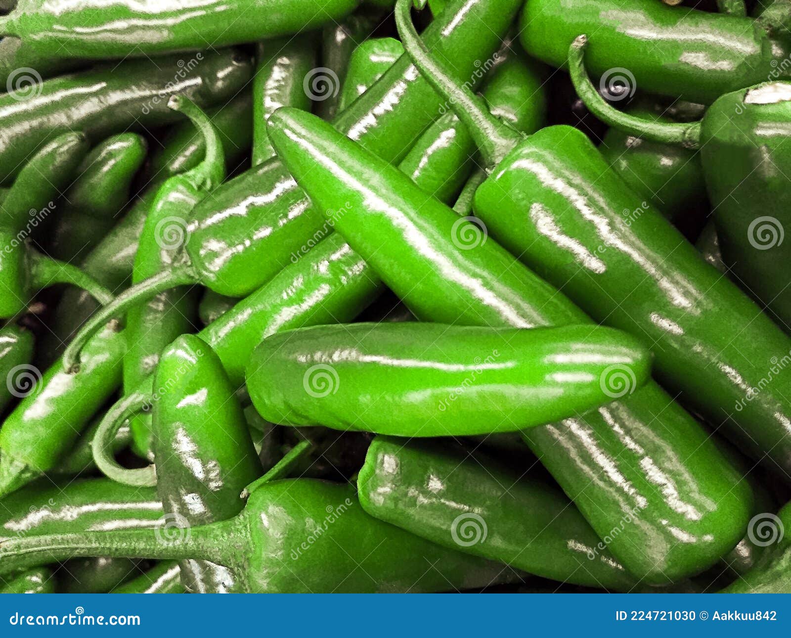 Green Arbol Chili Peppers Fresh Green Serrano Chilies Capsicum Annuum