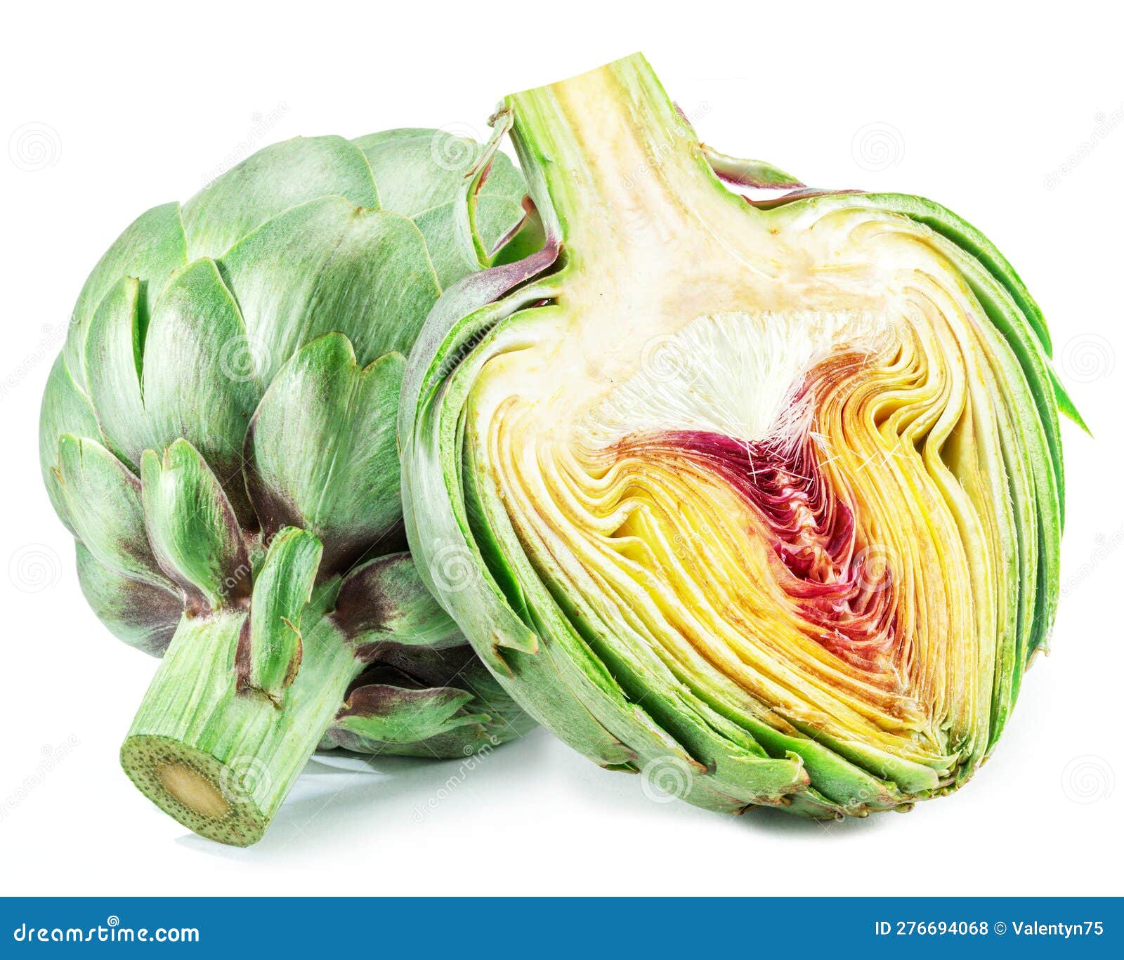 Green Artichoke and Artichoke Heart Isolated on White Background Stock