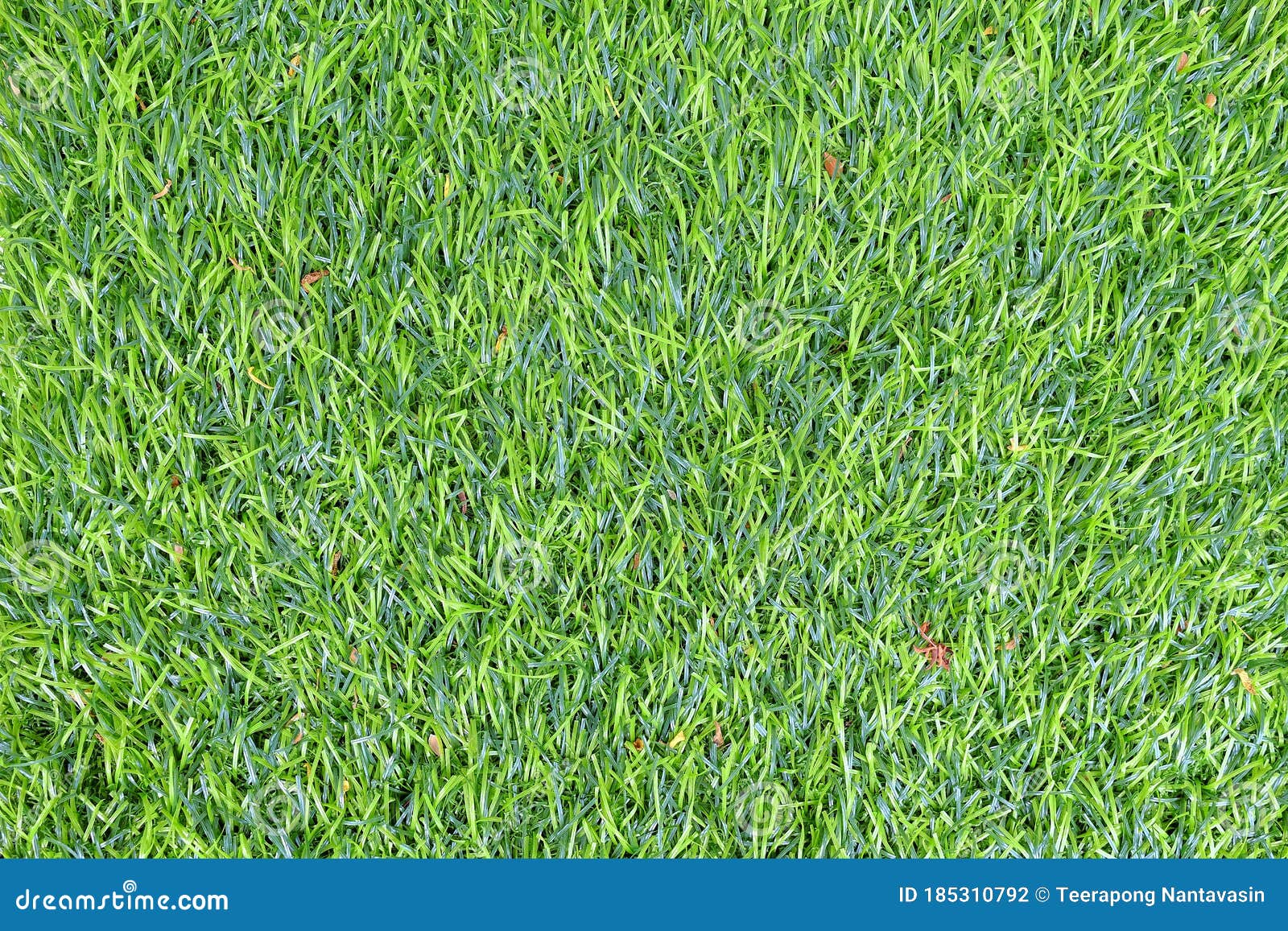 Green Artificial Grass Texture Backgroundà¹ƒ Stock Photo - Image of garden,  carpet: 185310792