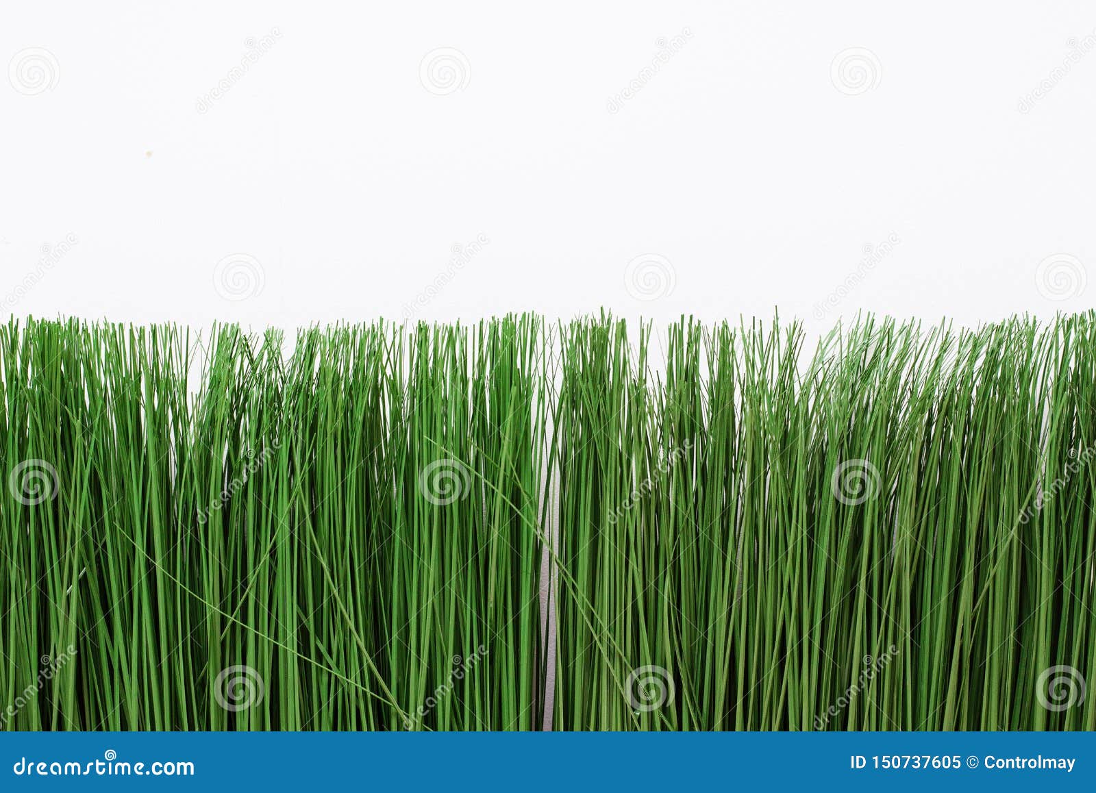 Green Artificial Grass on a White Background. Thin Grass in a Bright