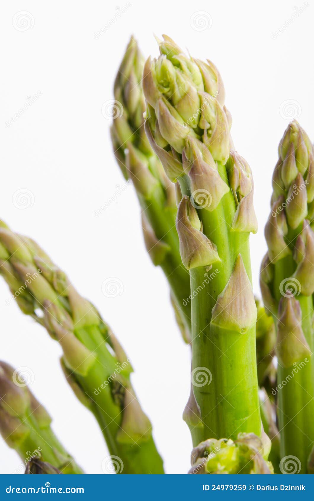 Green Asparagus stock image. Image of cuisine, nature 24979259
