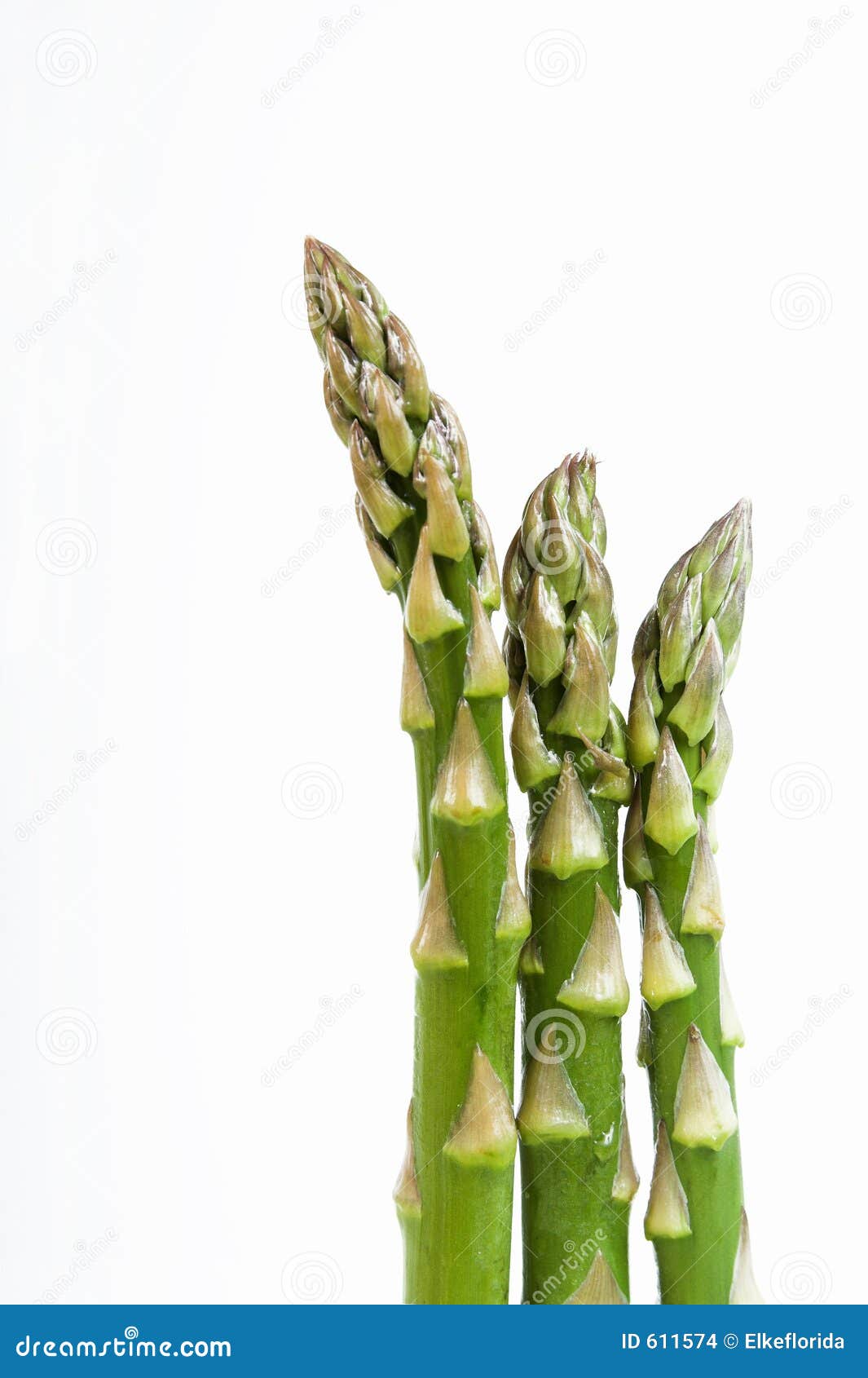 Green asparagus stock photo. Image of healthy, slim, vegetable 611574