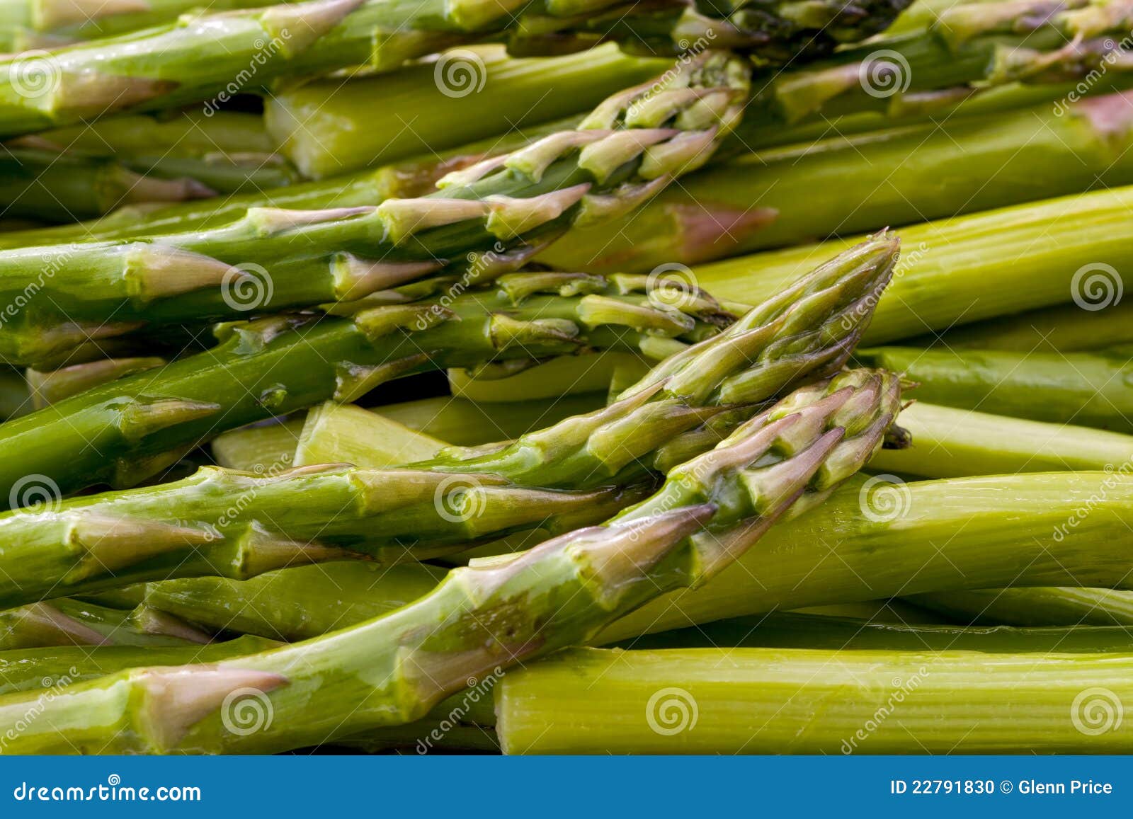 Green Asparagus (Asparagus Officinalis) Stock Photo Image of closeup