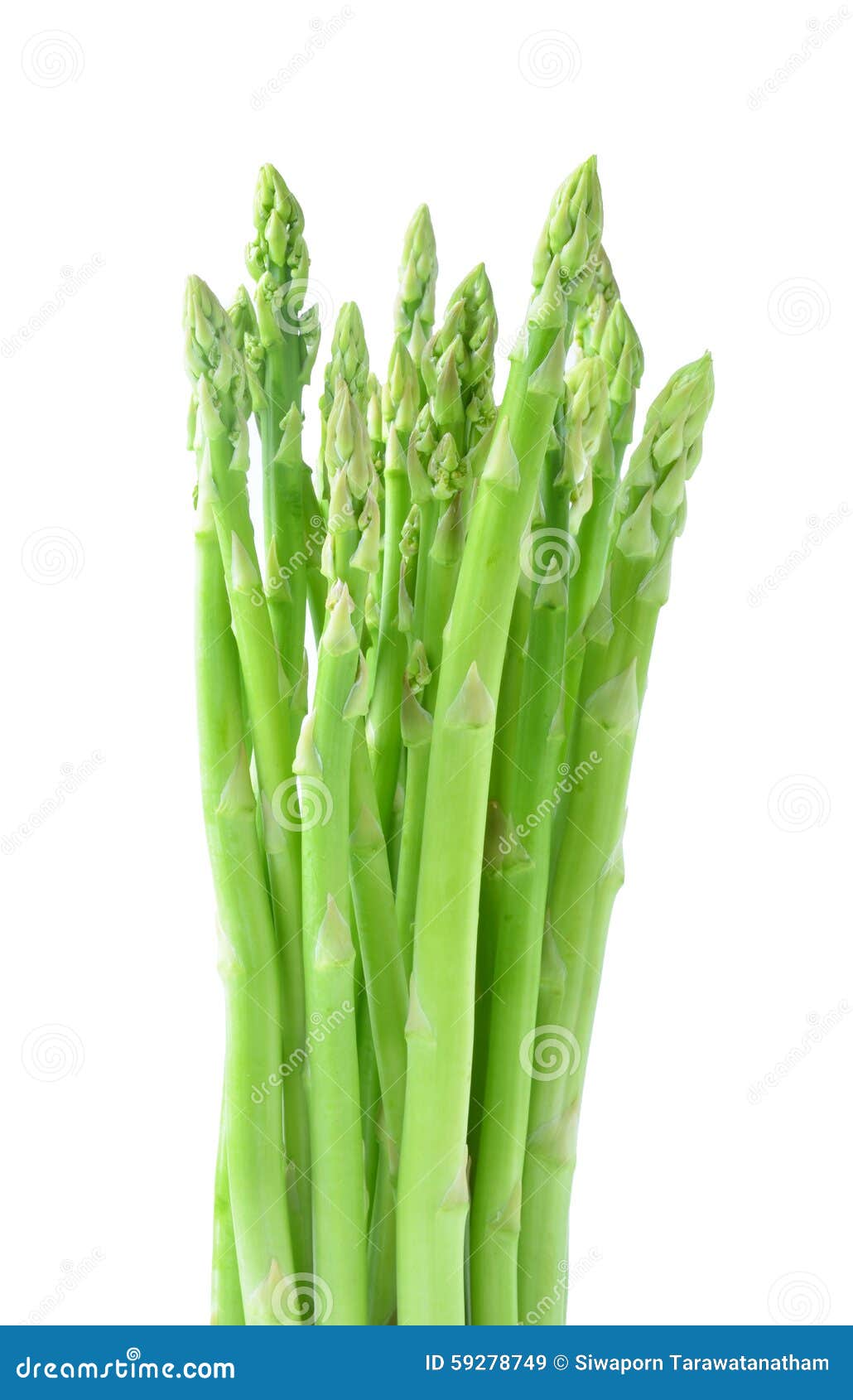 Green asparagus stock image. Image of level, fruits, isolated 59278749