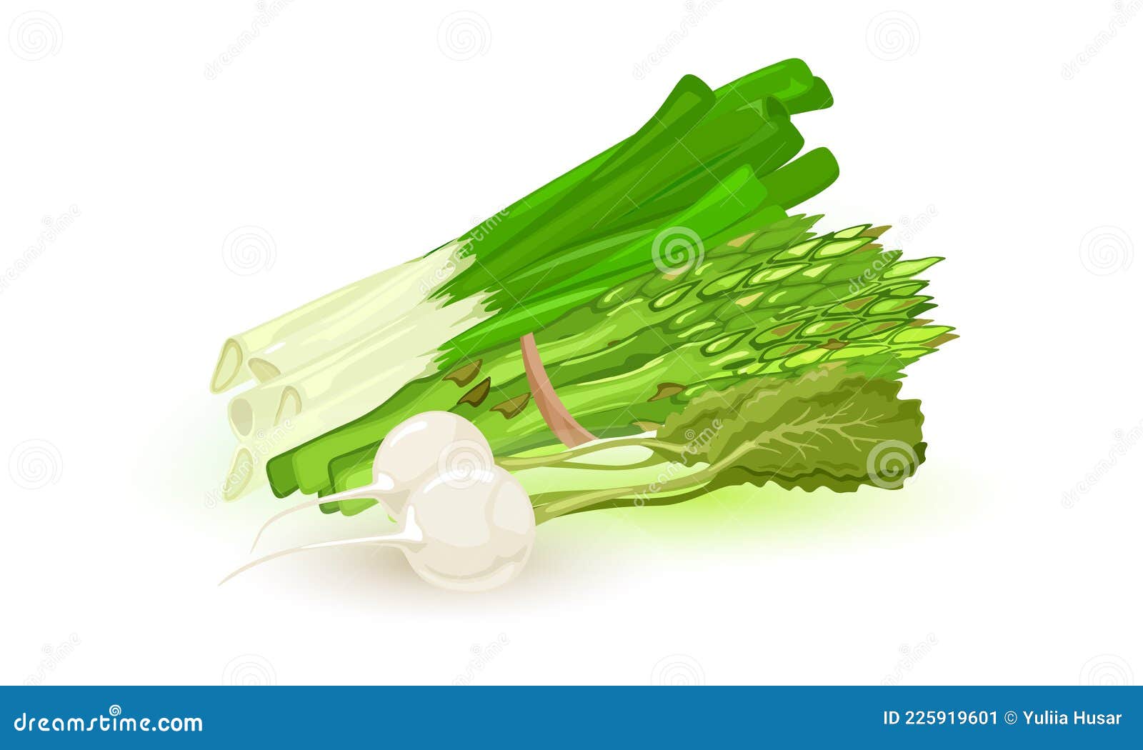 https://thumbs.dreamstime.com/z/green-asparagus-spears-leek-root-white-radish-daikon-top-whole-vegetable-tided-thread-fresh-veggie-farm-menu-healthy-225919601.jpg