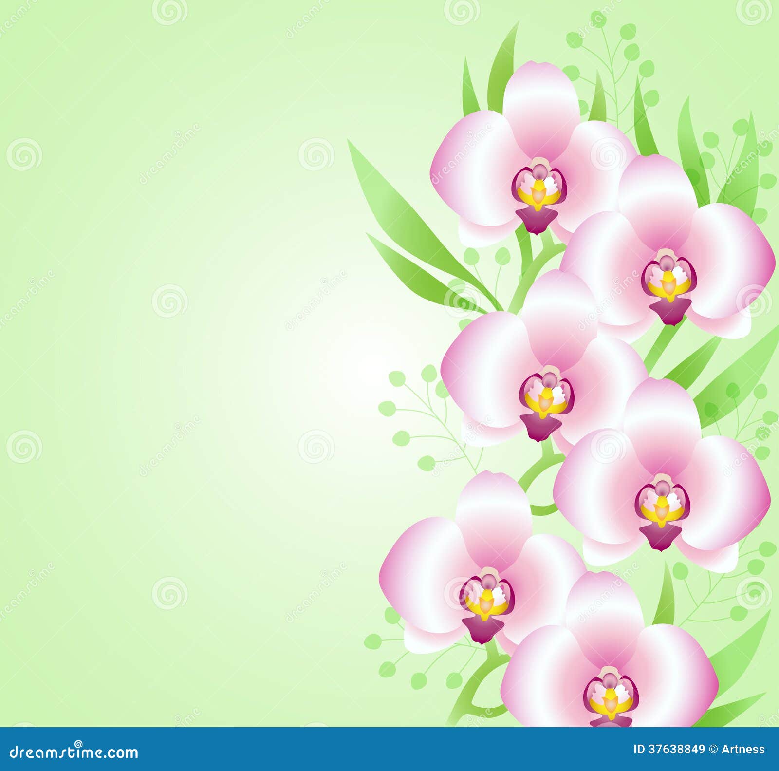 Green Background with Orchids Stock Vector - Illustration of blossom