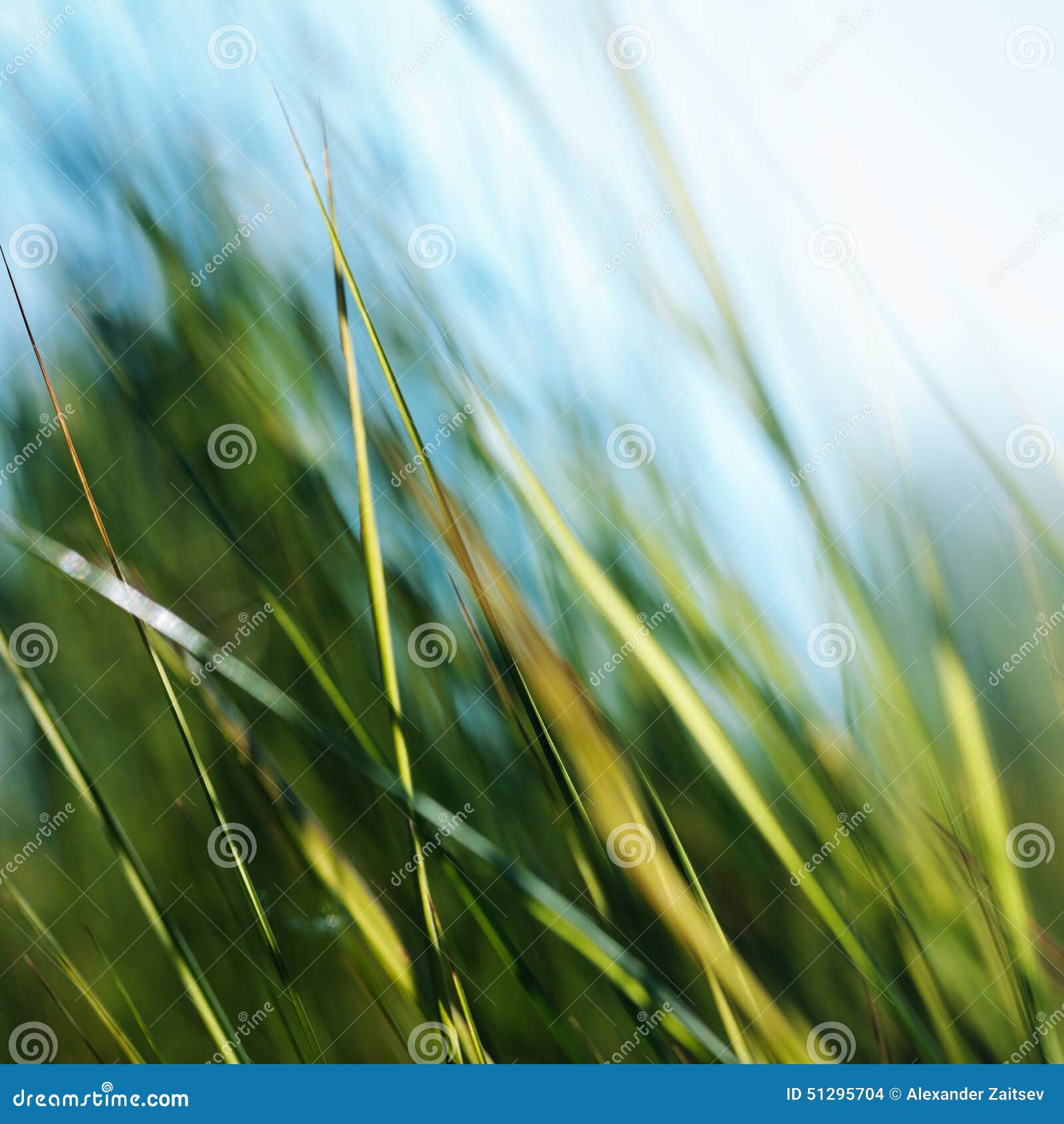 My Image 22