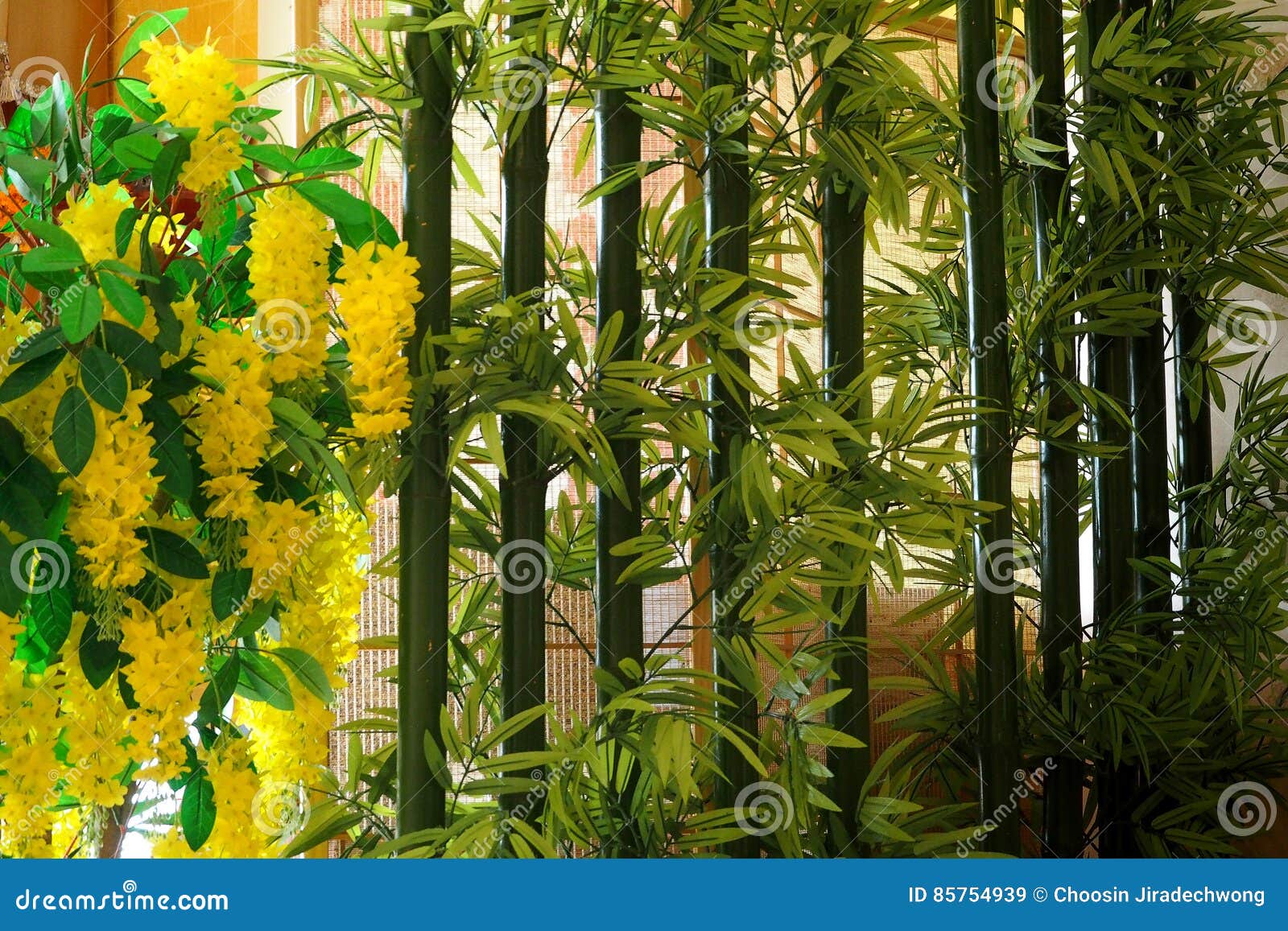 Green bamboo stock image. Image of asian, abstract, green 85754939