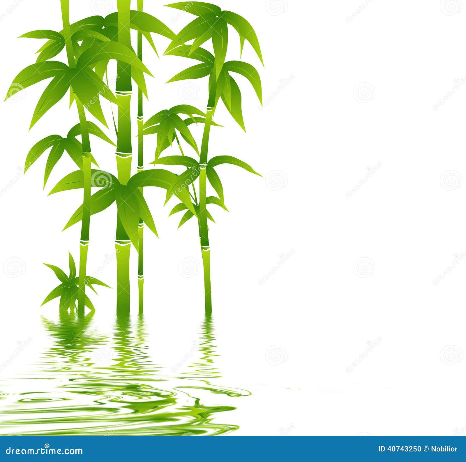 My Image 3