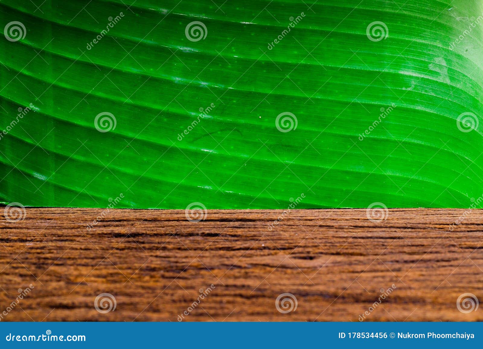 Green Banana Leaves and Brown Wood on Natural Detail Wallpaper Texture