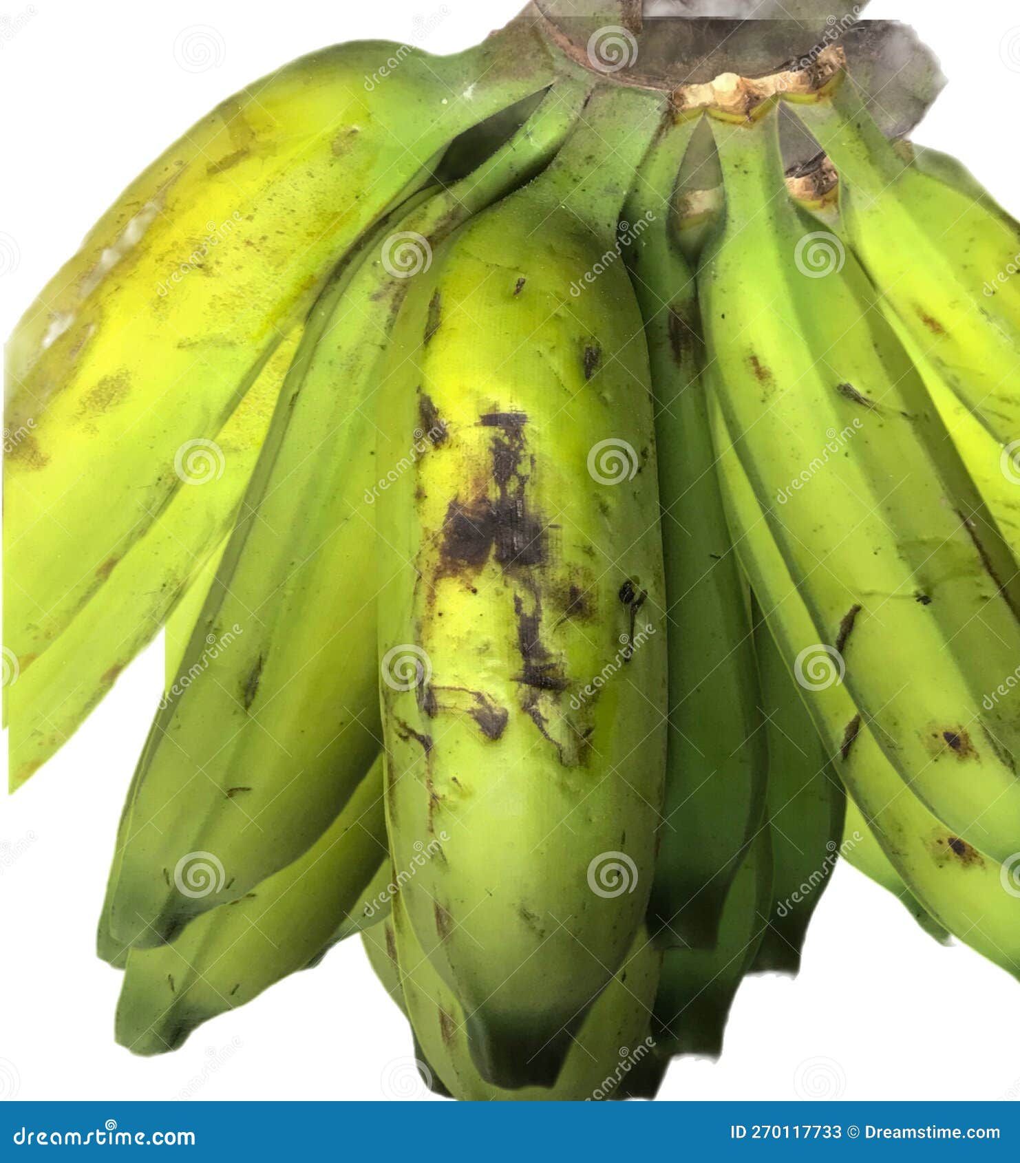 Bananas Png Stock Photos - Free & Royalty-Free Stock Photos from Dreamstime