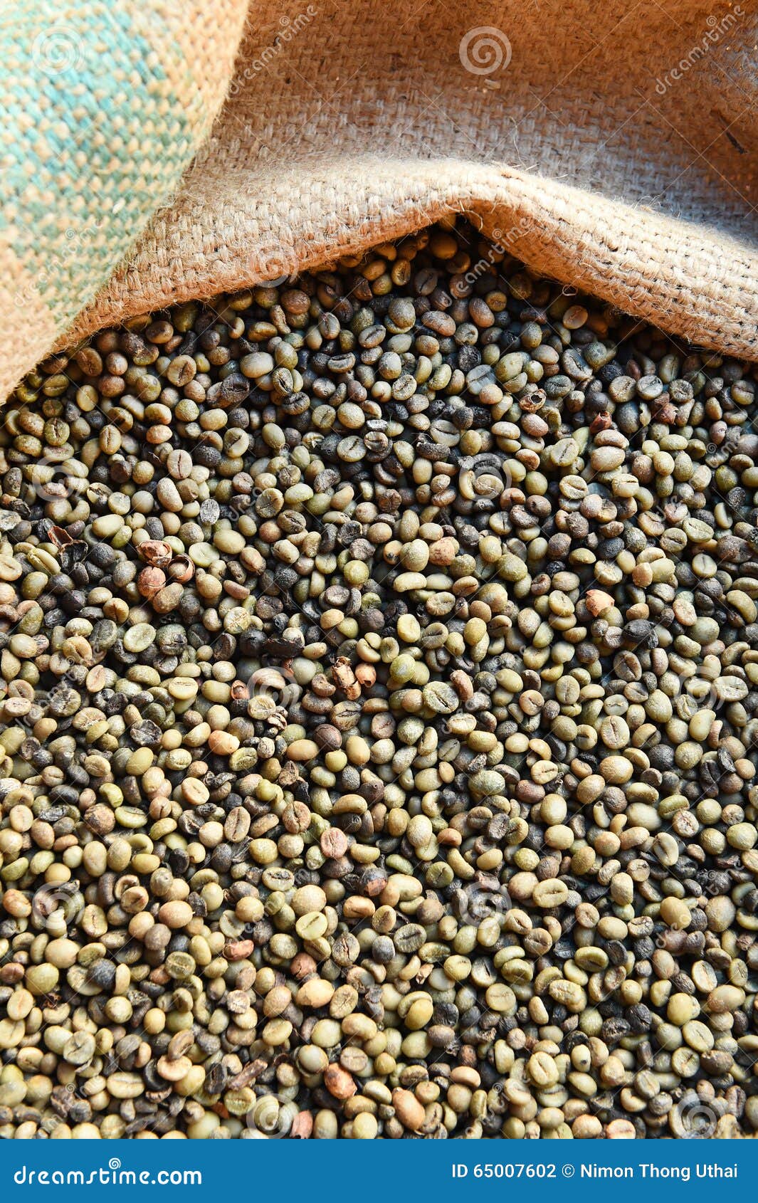 Green bean coffee beans stock photo. Image of coffee 65007602