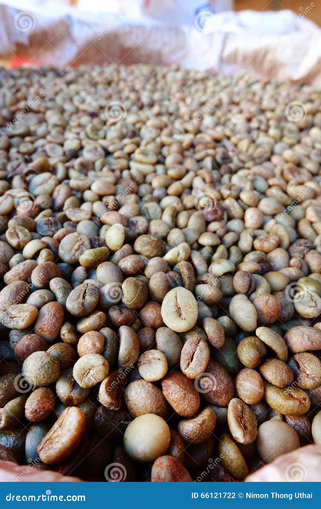 Green bean coffee beans stock photo. Image of cafe, black 66121722